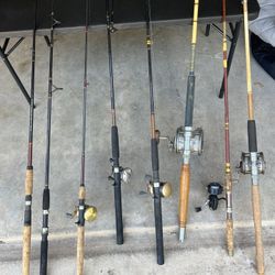 Fish Roads And Reels