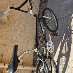 Old School Bmx. SR Sakae Ringyo 1982. Rare! Chandler 