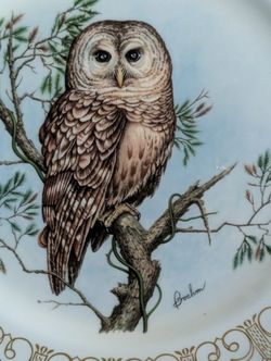 Boehm Complete 8 Plate Owls Of North America