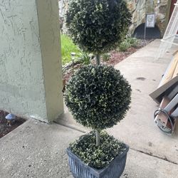 Fake Decorative Plant
