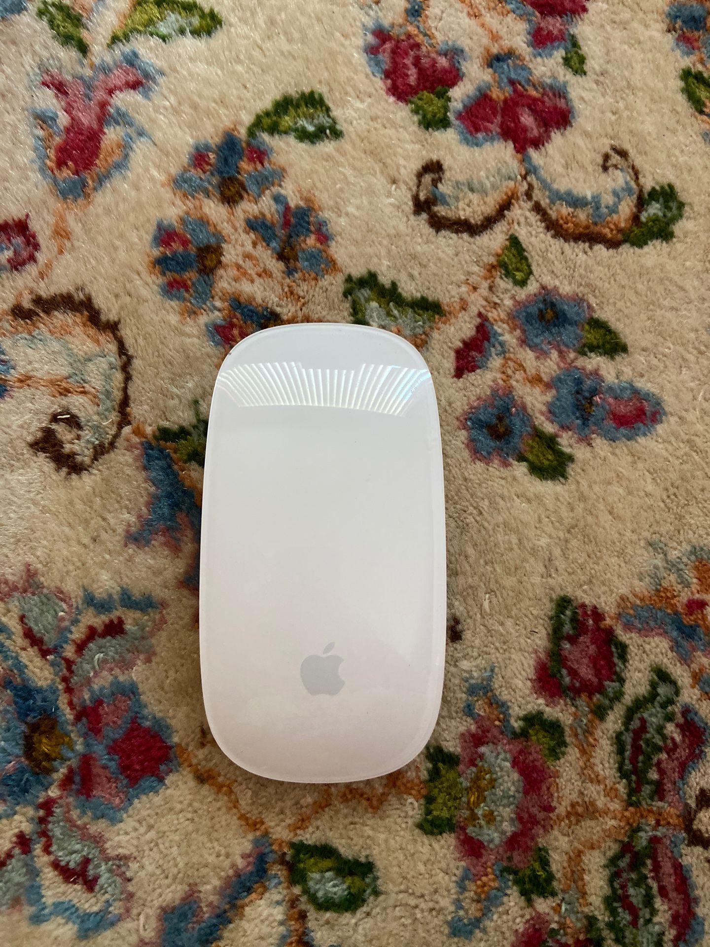 Apple Magic Mouse (1st gen)