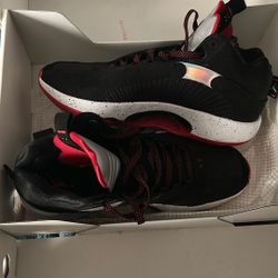 Nike Air Jordan XXXV Size 11