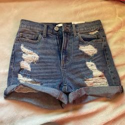 High Waisted Shorts
