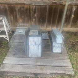 live traps critter animal cages rats, skunks, racoons, rabbits, cats, dogs, etc 