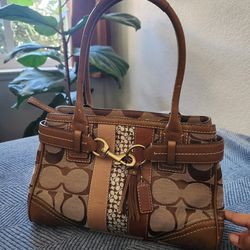 Brown Coach Purse
