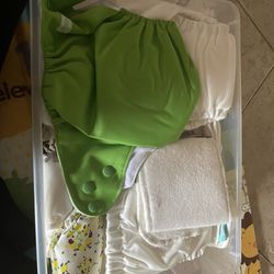 Cloth Diapers & Inserts
