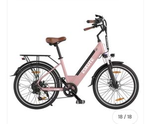 ESKUTE C100 26" Commuter Electric Bike 250W Motor 36V 10.4Ah Battery