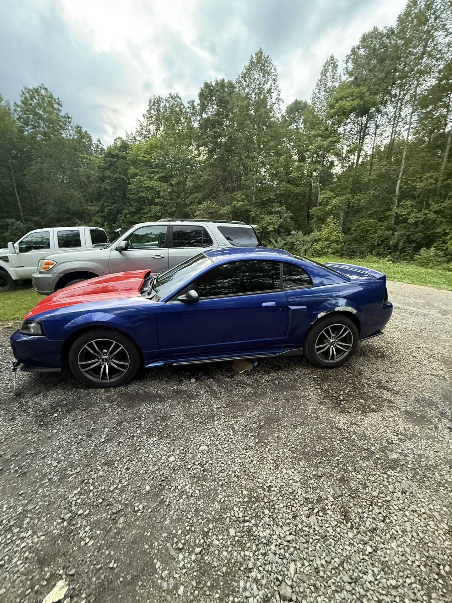 2004 Ford Mustang