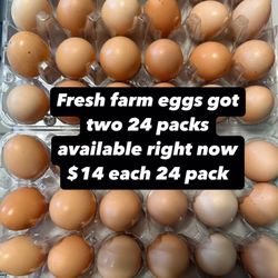 Fresh Eggs! 🥚