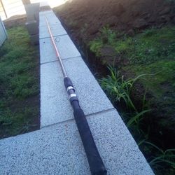 6'6 Daiwa  D | Force - Medium Action / 2Pc - Spinning Rod