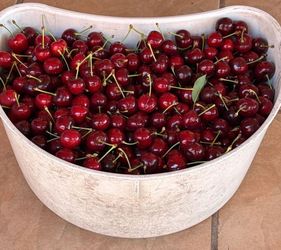Cherry fresca de hoy