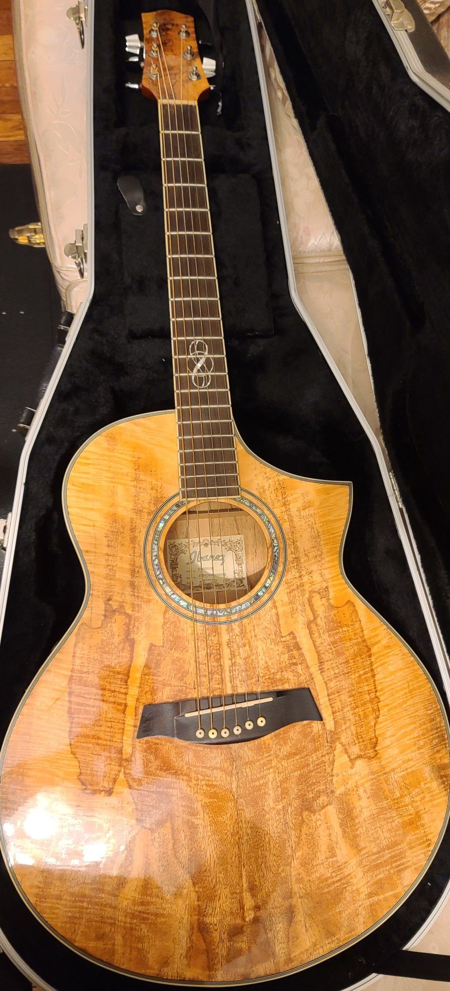 Ibanez Guitar and Hard Case