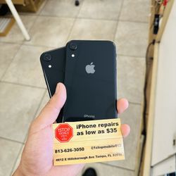 iPhone XR Cricket