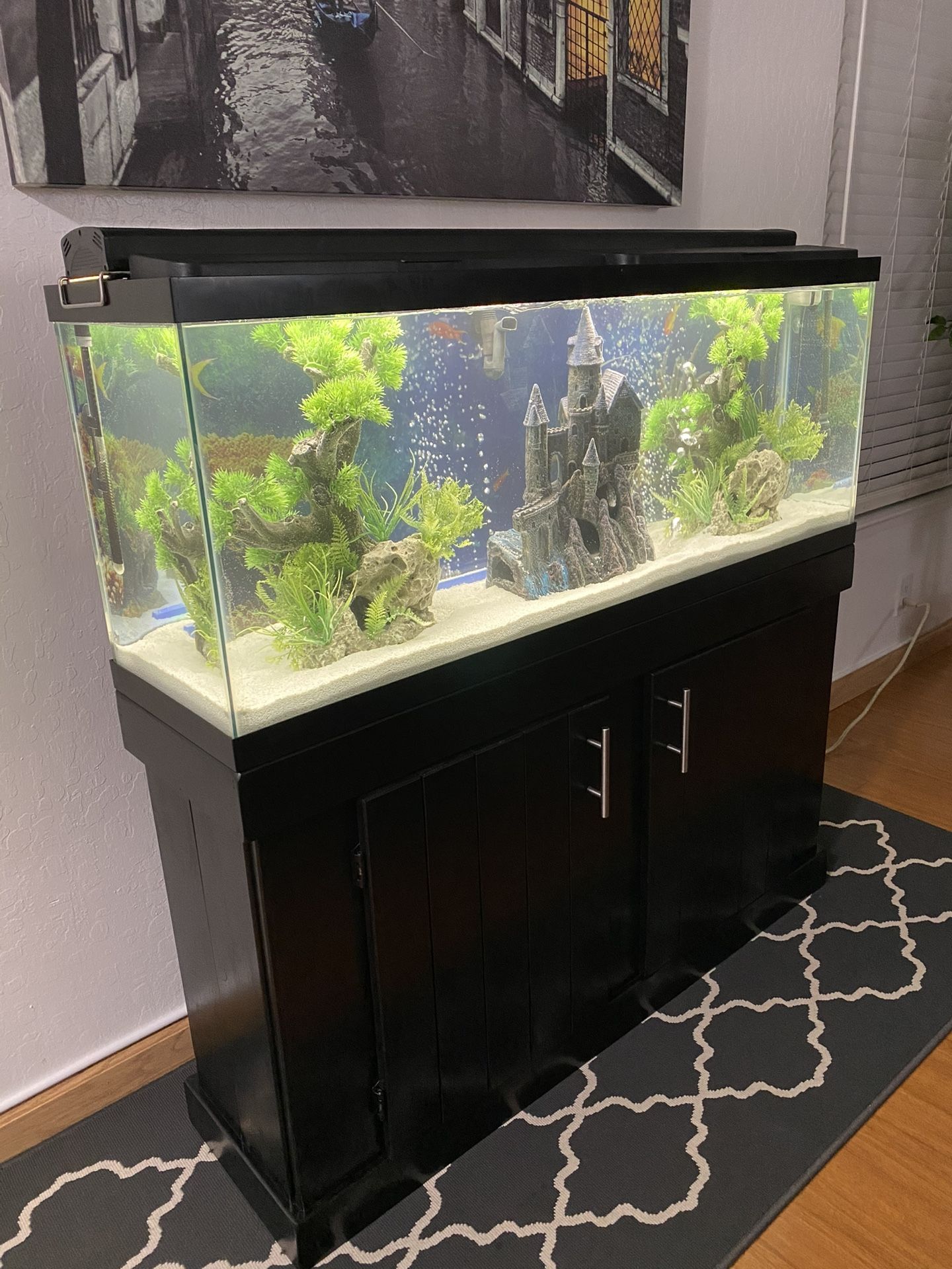 55 gallon fish tank with stand & accessories. Everything must go!