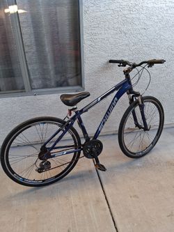 Schwinn bike