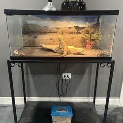 40 Gallon Tank Setup With Stand 