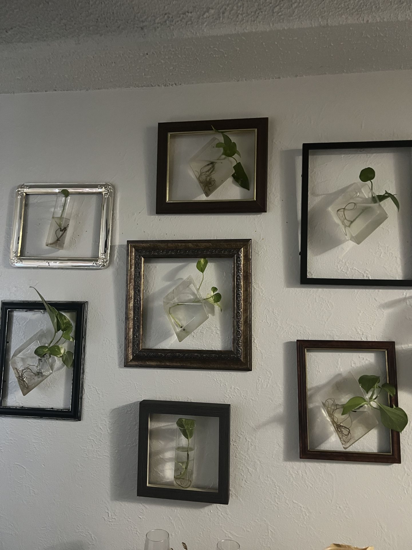 Framed Plant Wall