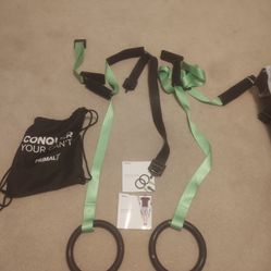 Olympic Ring Workout System