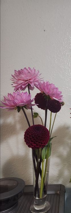 Daliahs, sunflowes, and zynias