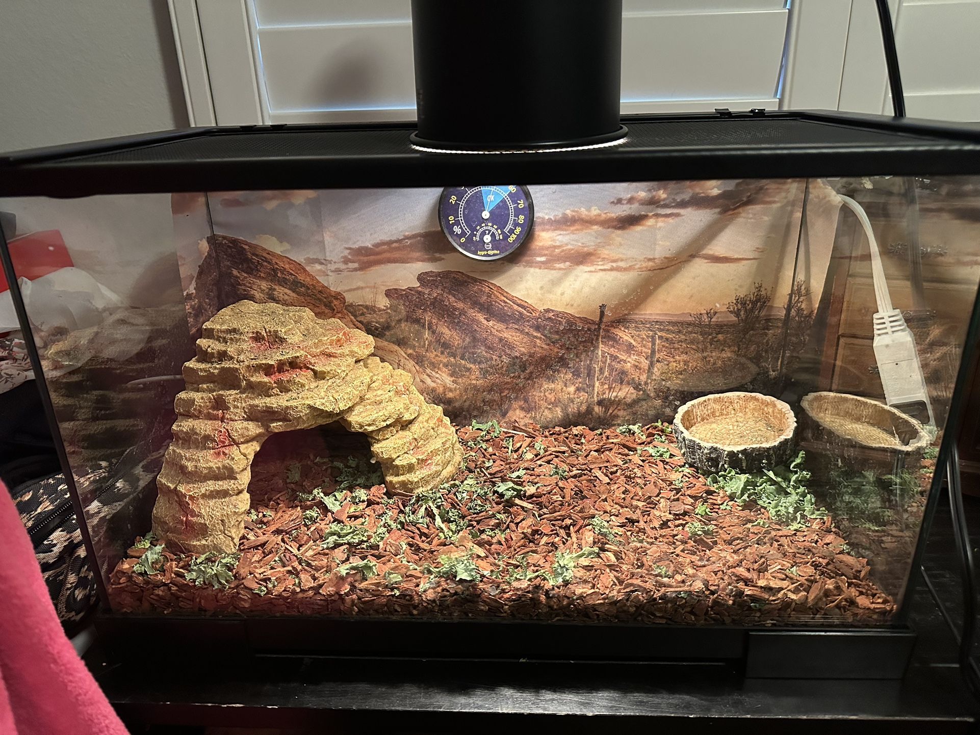 Small Terrarium 10 gallon