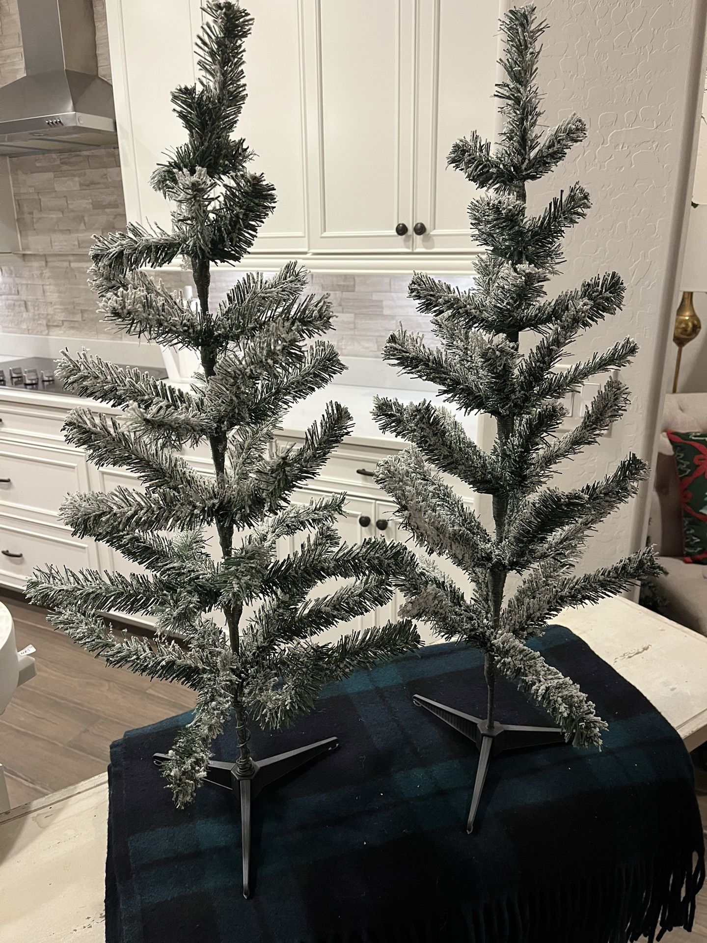 Pair Of 30” Frosted Trees