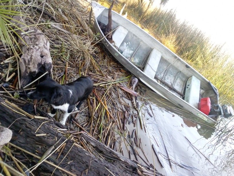 Aluminum Boat