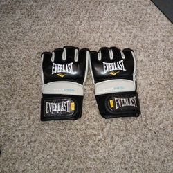 MMA Gloves L/XL Everlast