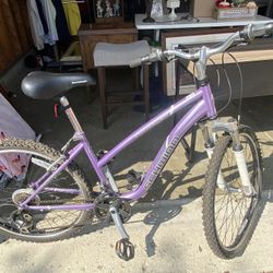 Very Nice Women’s Schwinn
