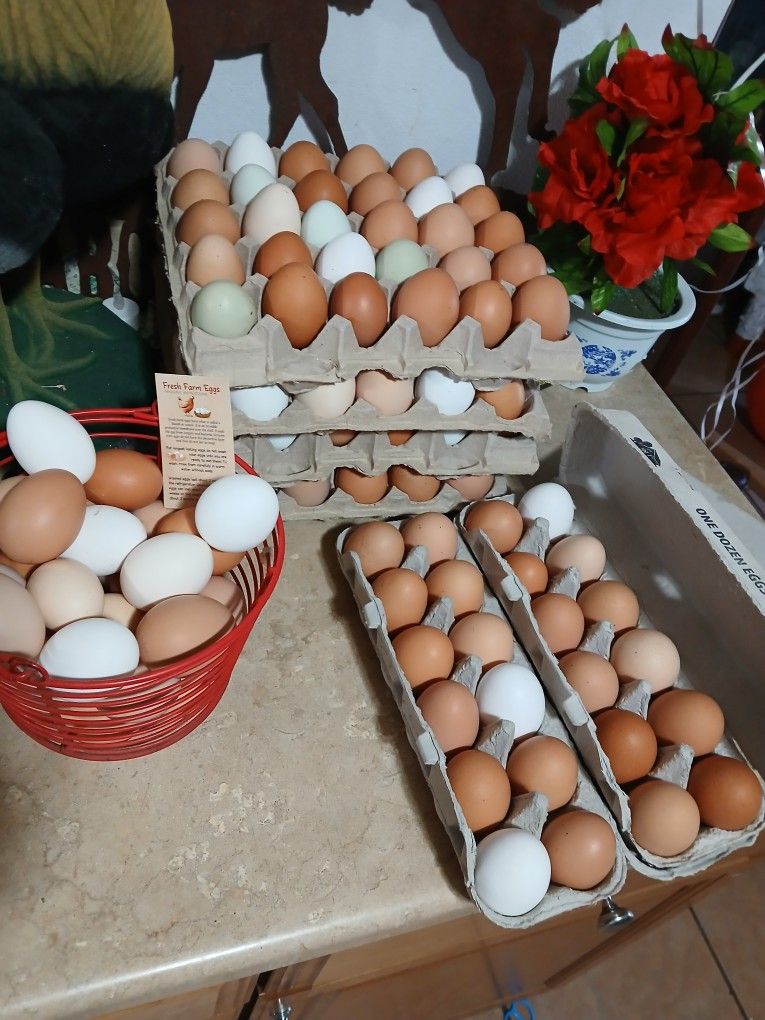 Farm Fresh Eggs/ Huevos Rancheros Frescos