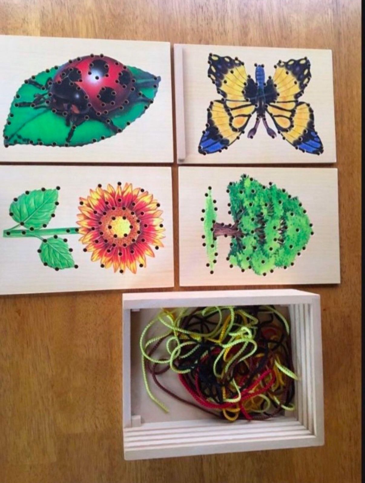Wooden Lacing Boards In Wooden Box With Lid