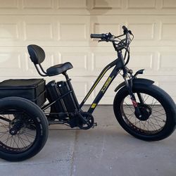 Adult Electric Trike w/2 batteries