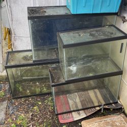 Fish Tanks 