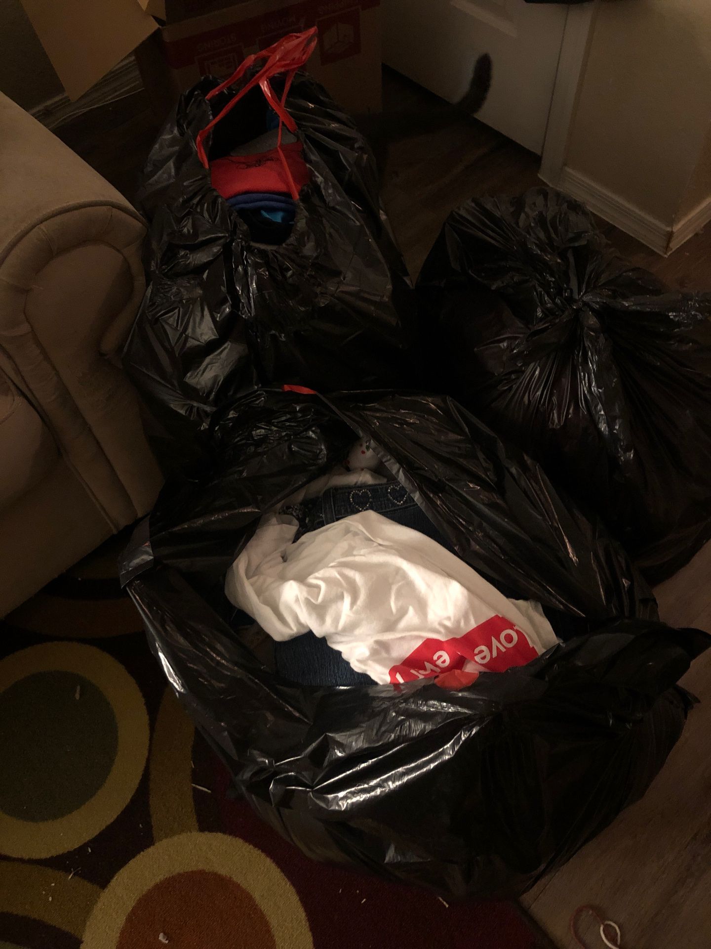 3 bags full of boys and women’s clothing . FREE