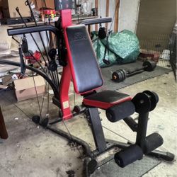 Boflex Full Body Machine