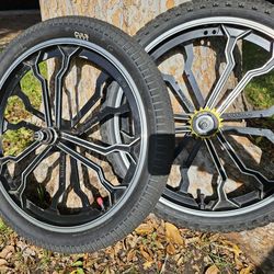 Mongoose Mags W/16T Theory Freewheel