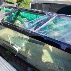 130 Gallon Fish Tank