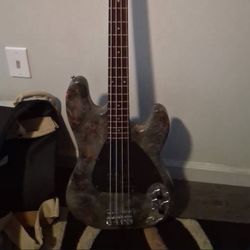 Bass Guitar