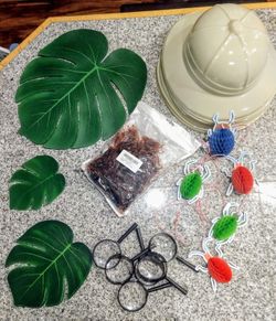 Bug Party Kit