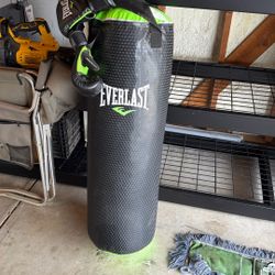 Everlast Boxing Bag