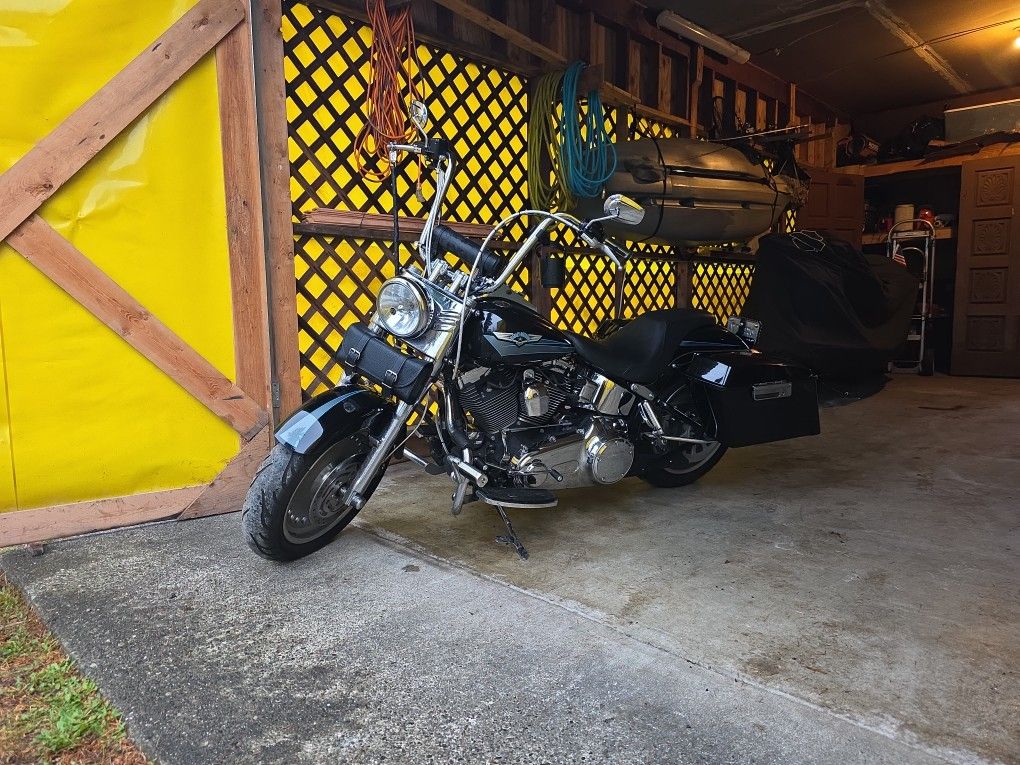 2008 Harley davidson Fat Boy