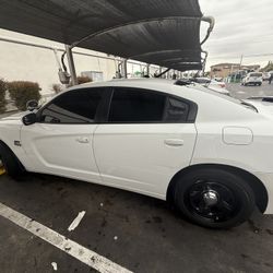 2014 Dodge Charger Pursuit 