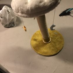 Cat Perch With  2 Hanging Toys 