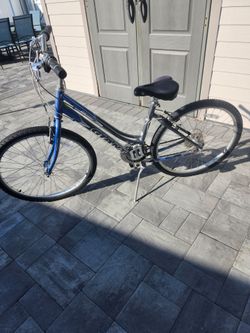 Giant bike