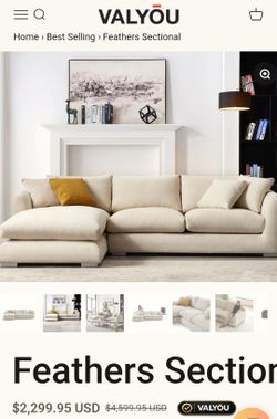 Sectional couch