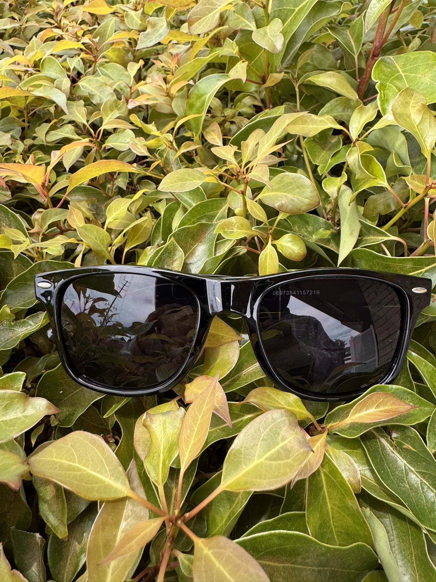 Tito’s Sunglasses.