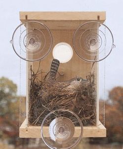 See Through Mirrored Bird House