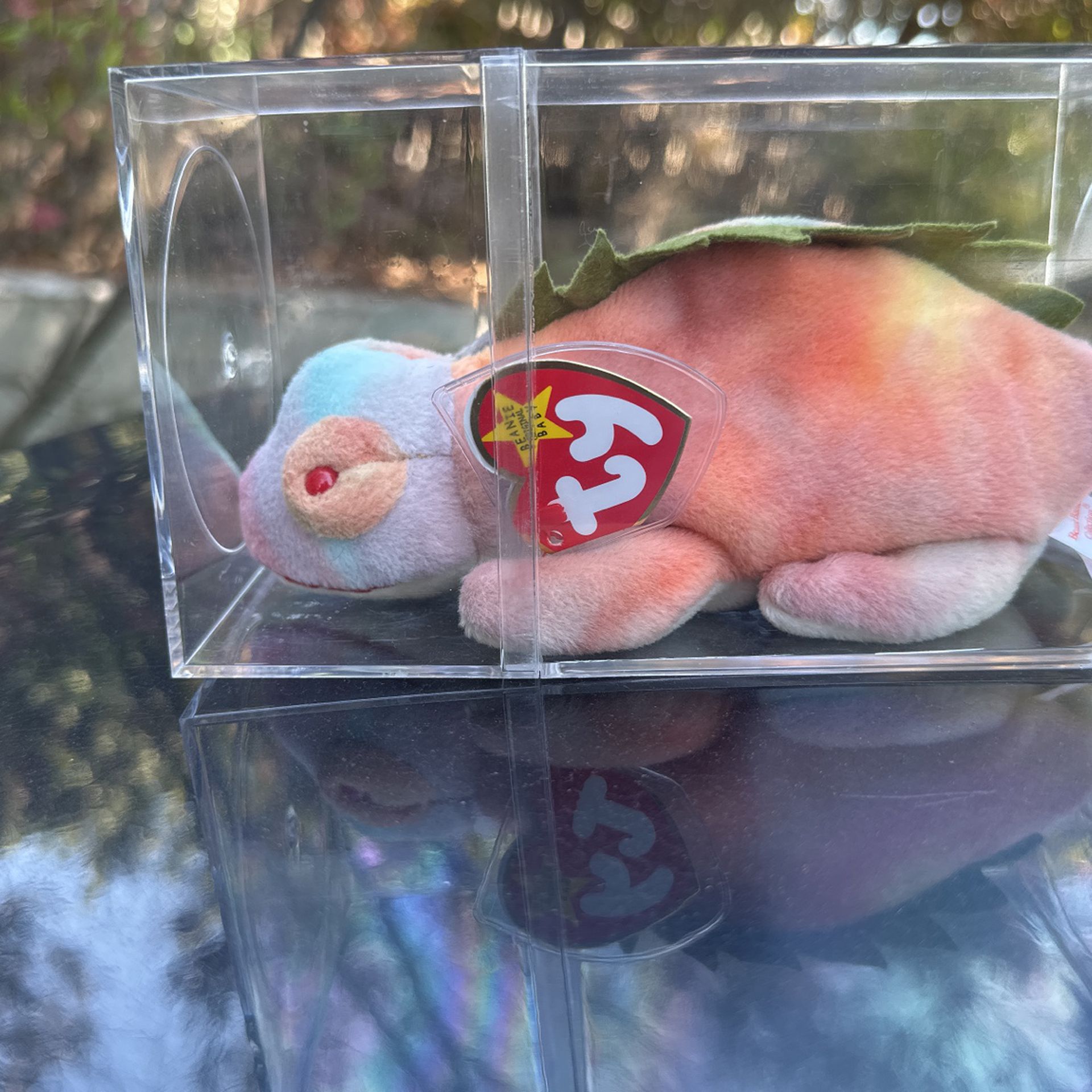RARE Retired TY Beanie Baby Iggy 1997 With Tag Protector and Case 