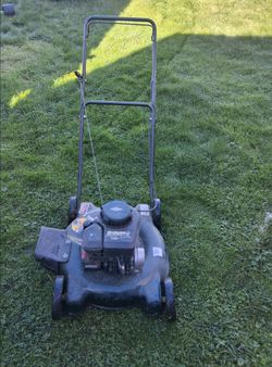 Push mower. Its not self propelled