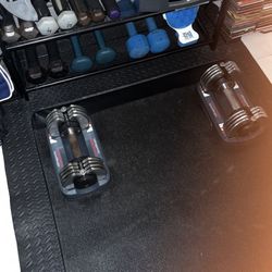 Adjustable Dumbbells Wieder Speed Weight Five To 25 Pounds Five Dumbbells In One $100 For The Pair That’s TWO Dumbbells