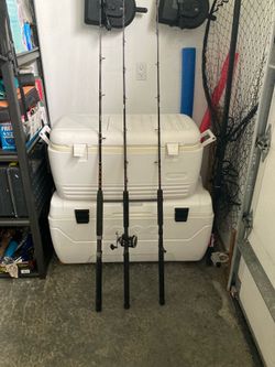 Jigging rods and reel